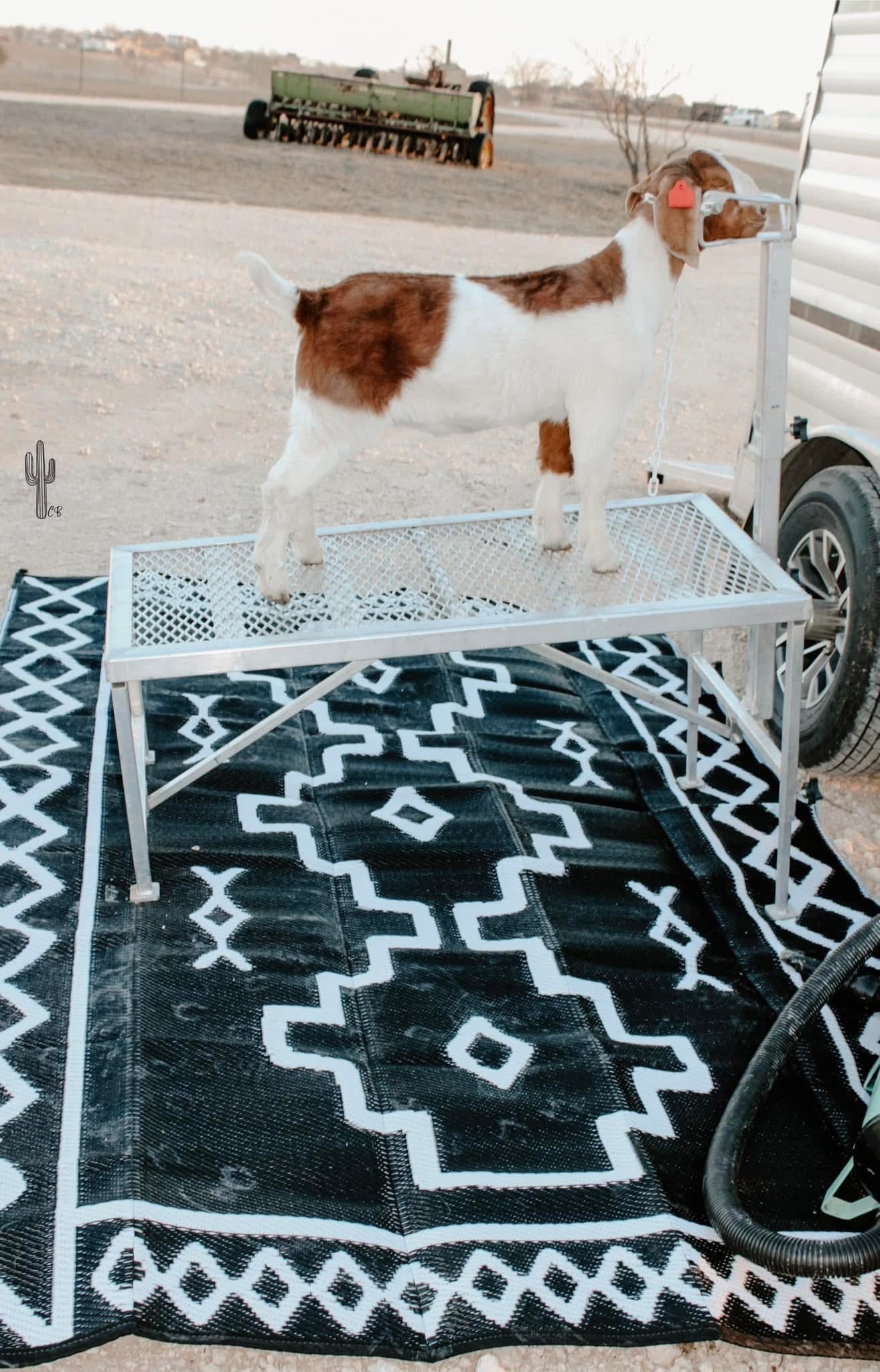 Western Outdoor Rug (PREORDER)