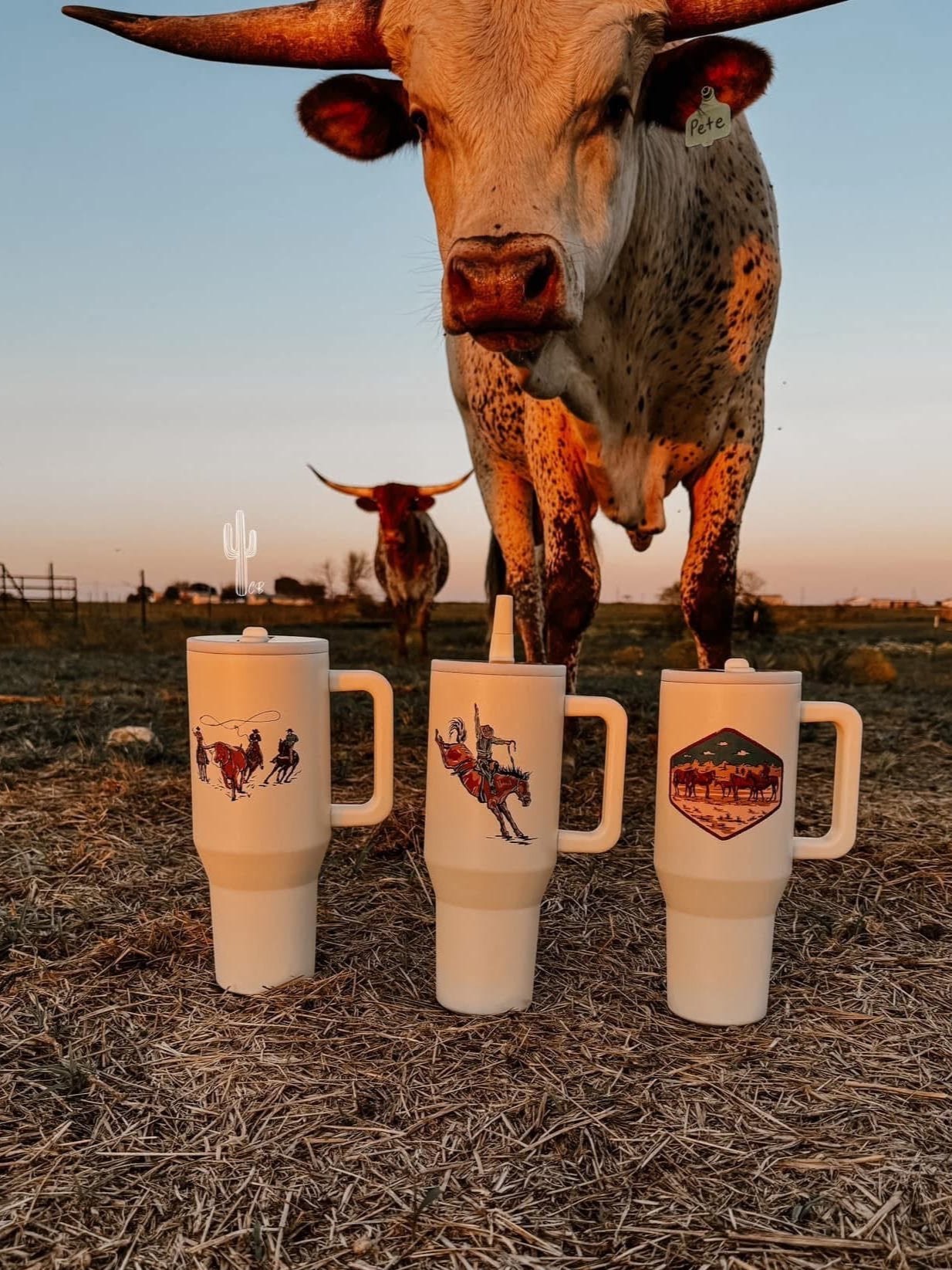 Cowpoke Tumblers (40oz)